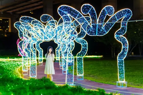 ▲「2026新北河濱蝶戀季」夜間有燈飾裝飾，預期將吸引民眾紛紛合影。（圖／新北市政府高灘地工程管理處提供）