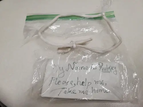 ▲志工小心翼翼地取出字條後，看見上面用有些不穩、甚至帶著顫抖的筆觸，讓許多人分析前主人應該是老年長者。（圖／Kent County Animal Shelter）