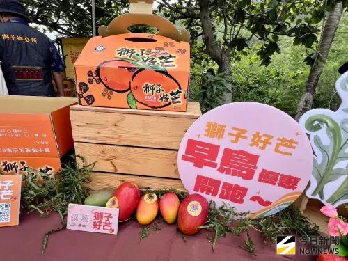 ▲獅子鄉公所推出限時早鳥活動，主打「鹽風愛文芒果」的產地直送。（圖／記者郭俊暉攝,2026.05.11)