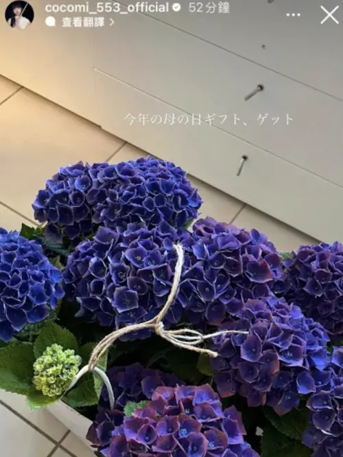 ▲木村心美準備了紫色繡球花，祝媽媽靜香母親節快樂。（圖／翻攝自木村心美IG）