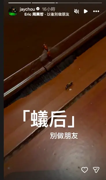 ▲周杰倫隨手拍下一段蟻后的影片，並上傳到IG限動，內容毫無重點但卻充滿笑果。（圖／周杰倫IG@jaychou）