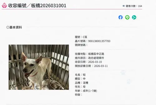 ▲（圖／取自新北市動保處）