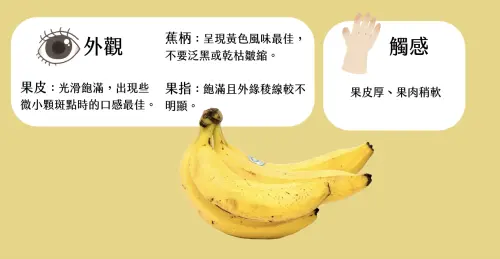 ▲挑選香蕉時可觀察果皮、蕉柄與果指狀態，成熟度佳的香蕉果皮光滑飽滿，果肉稍軟。（圖／翻攝自農業部）