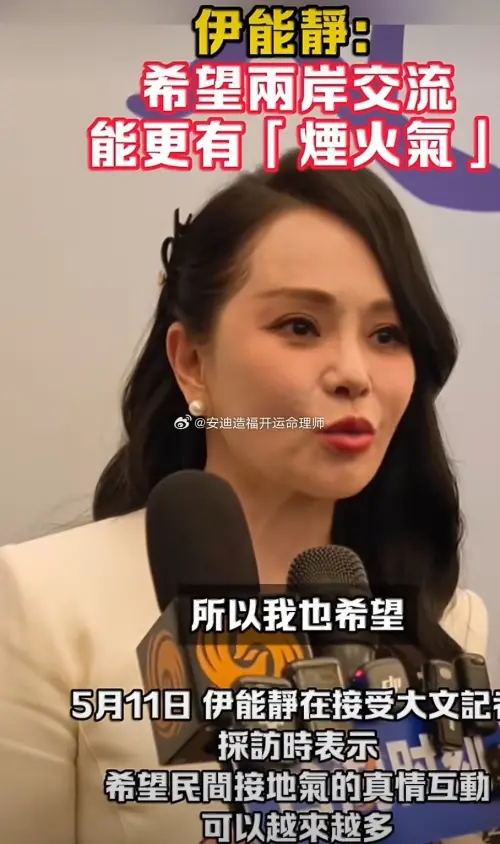 ▲伊能靜參加海峽兩岸中華文化峰會，認為兩岸應該透過共同的語言互相交流民間文化。（圖／翻攝自微博）