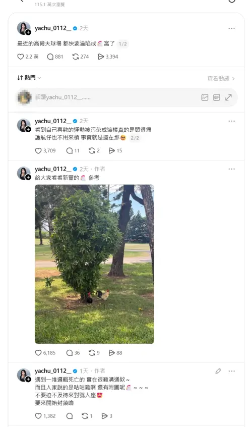 ▲張雅筑的貼文吸引115萬人次瀏覽，討論度極高。（圖／翻攝自張雅筑Threads@yachu_0112__）