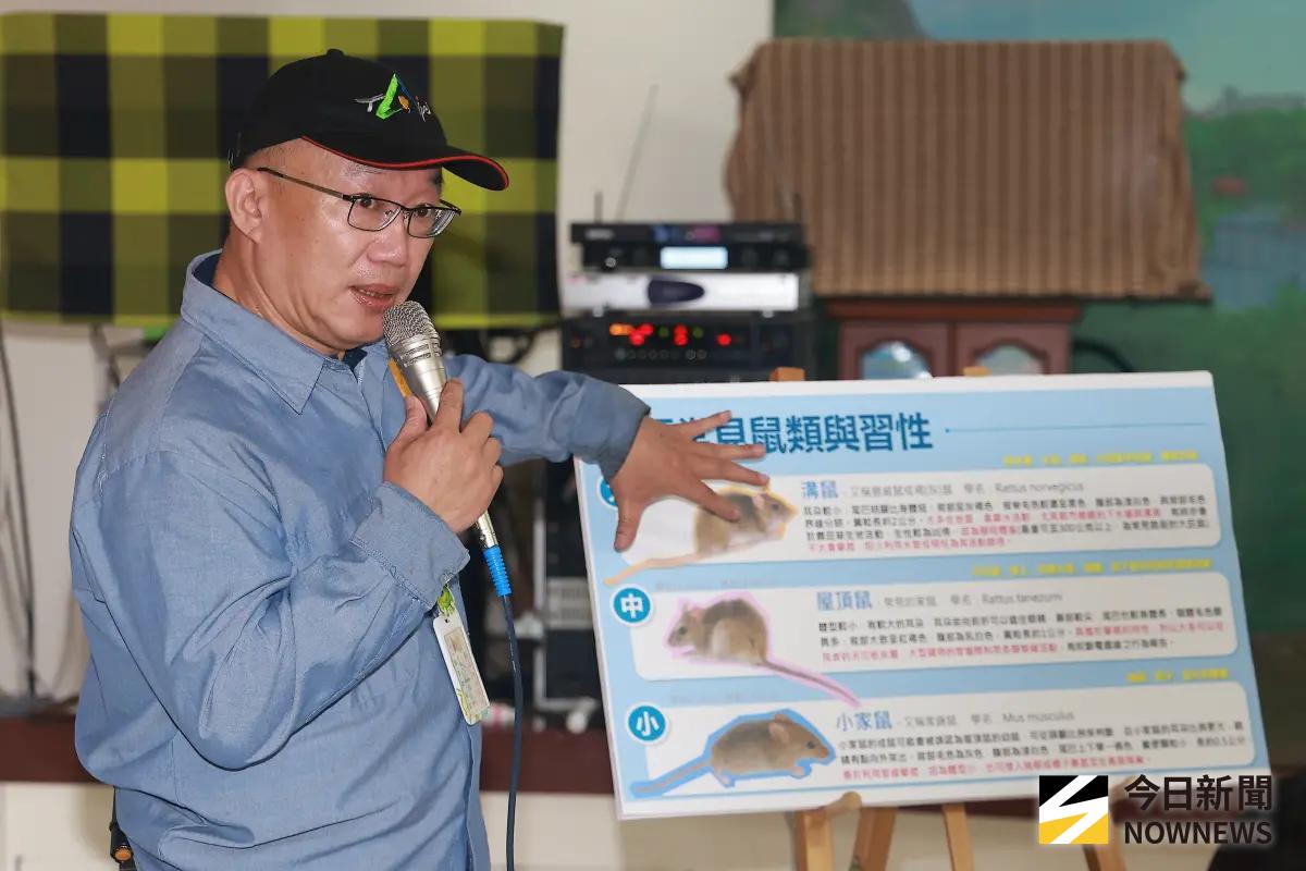 ▲北市「鼠類偵防師」正式成軍，鼠類偵防師分析社區常見老鼠樣態。（圖／記者葉政勳攝，2026.05.13）