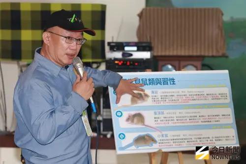 北市鼠類偵防師成軍！防治社區鼠洞專家建議「這一招」