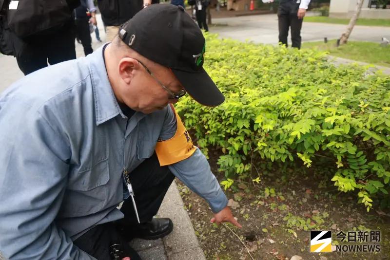    ▲北市「鼠類偵防師」正式成軍，分析社區常見老鼠樣態與防治作為。（圖／記者葉政勳攝，2026.05.13）  