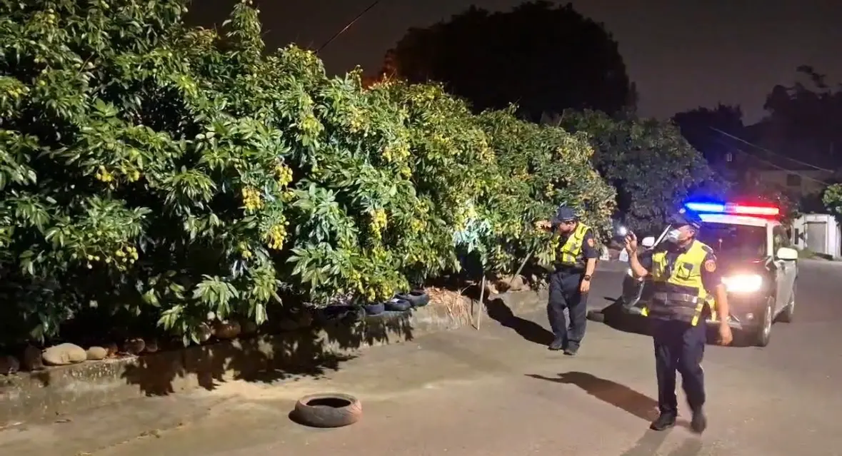 ▲ 高市警局仁武分局自這週一開始啟動「護荔專案」，透過警民合作防範農產竊案發生。（圖／仁武分局提供）