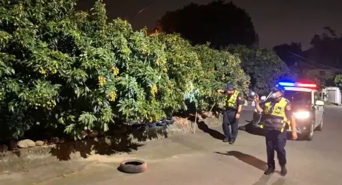 玉荷包採收季　仁武警啟動「護荔專案」守護農民心血