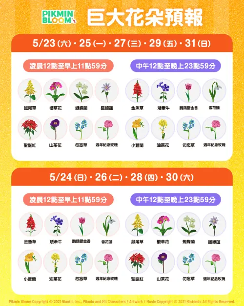 ▲《Pikmin Bloom》社群週期間，巨大花朵會綻放6個小時，不同花朵會在不同日期和時段綻放。（圖／《Pikmin Bloom》）