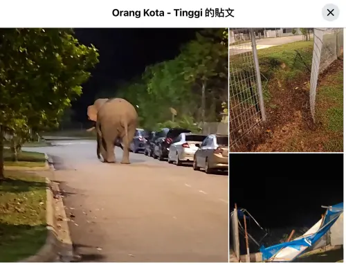 ▲民宅籬笆遭破壞。（圖／翻攝自Facebook＠Orang Kota Tinggi）