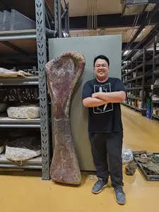 ▲科學家在泰國東北部發現一具約1.13億年前的恐龍化石可能是目前已知東南亞最大的恐龍。（圖／路透社／達志影像）
