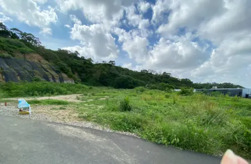 ▲大肚山私人土地尚未被入侵時的模樣。（圖／林祈烽提供，2026.05.15）
