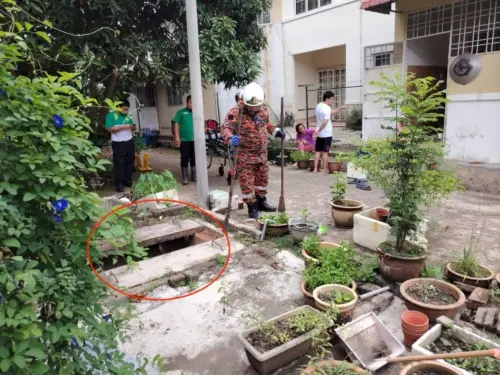 ▲男子為了救一隻在房屋後方山坡草叢中的貓，意外跌落屋後的深溝。（圖／翻攝自東方日報）