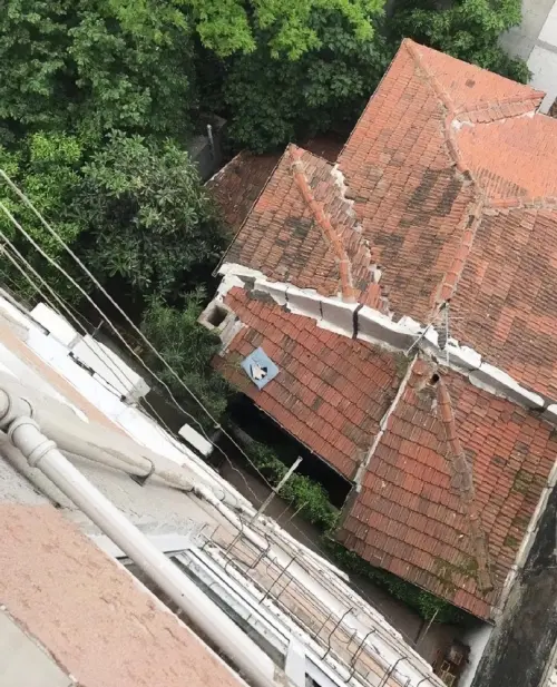 ▲人類一個看似不起眼的小失誤，或許會成為另一個生命最珍貴的禮物。（圖／翻攝自微博）