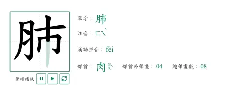 ▲實際查詢教育部《國語小字典》中，肺字右邊最上方正確寫法，應是「由上而下直直地一筆畫下來」。（圖／翻攝教育部國語小字典）