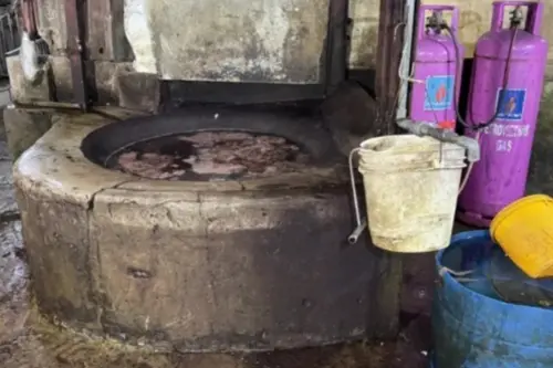 胡志明市查獲逾八噸未經檢疫肉類　含貓狗肉、動物內臟