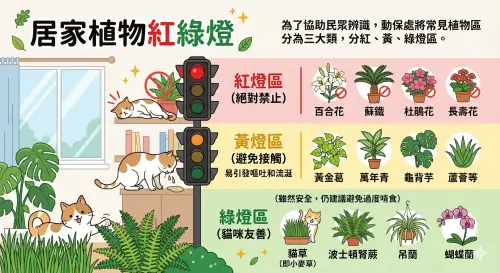 ▲新北動保處公布「居家植物紅綠燈清單」。（圖／Gemini生成）