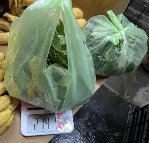 ▲九層塔是此次抽驗中農藥違規件數最多的「最毒配菜」，民眾烹飪前應加強清洗。（圖／北市衛生局提供）