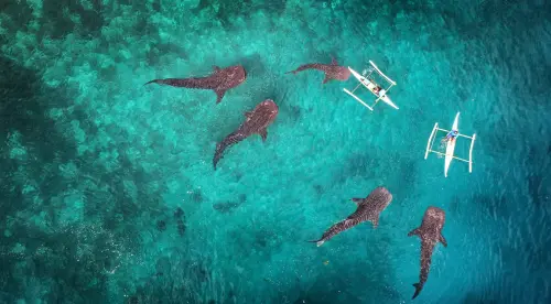 ▲短程海島旅遊需求近年持續升溫，豐富的海洋資源與熱帶風情吸引不少台人搶票旅遊。（圖／菲律賓觀光部台灣分處提供）