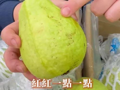 ▲芭樂外皮出現紅點「糖斑」，反而可能是甜度較高的特徵。（圖／翻攝「真青翠鮮果店」粉專）