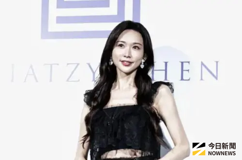 林志玲任文策院董事僅9天請辭！藝人跨公眾事務難　阿信也有爭議