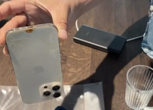 龍膽石斑誤吞iPhone16！8個月後破肚找到　還能開機？結果出爐