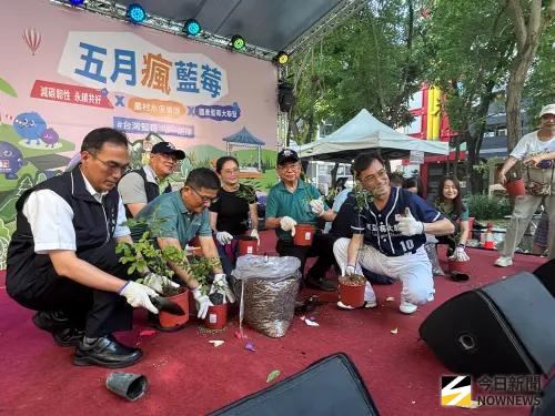 ▲今、明兩日在台中草悟道舉辦《五月瘋藍莓～農村水保樂園》，今天開幕時邀大家動手植藍莓，象徵合力帶動藍莓產業發展。（圖／記者金武鳳攝，2026.5.23)