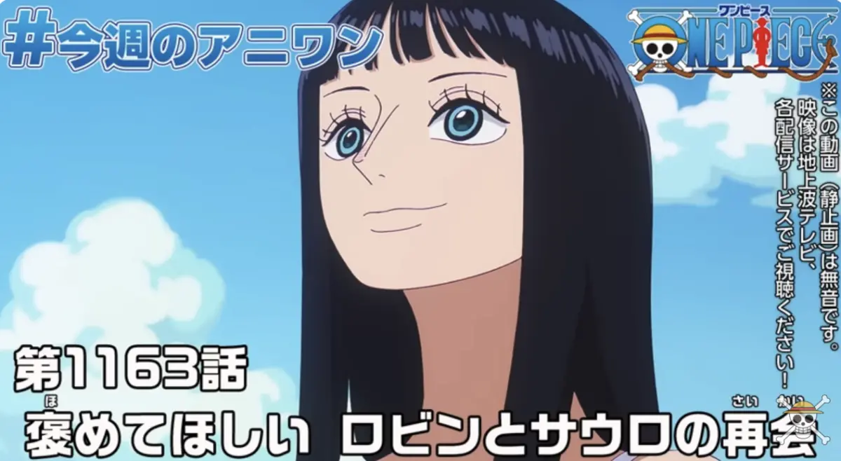 ▲《ONE PIECE 航海王》動畫第1163集迎來史詩級神回，妮可·羅賓與恩人薩烏羅睽違 20 多年奇蹟重逢，再現經典笑聲。（圖／ONE PIECE）