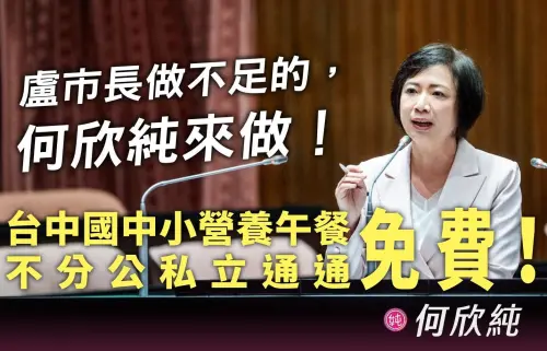 左學蔣萬安、右跟陳其邁？何欣純轟盧秀燕：做什麼都慢半拍