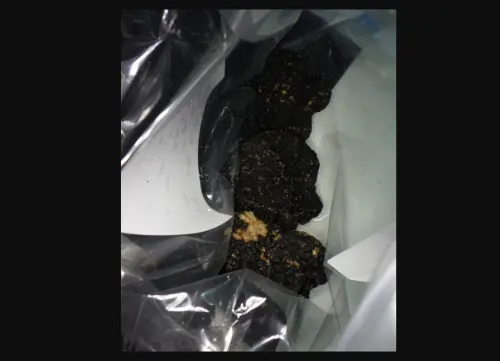▲3批分別自法國及保加利亞輸入的新鮮黑松露檢出重金屬含量不合格。（圖／食藥署提供）