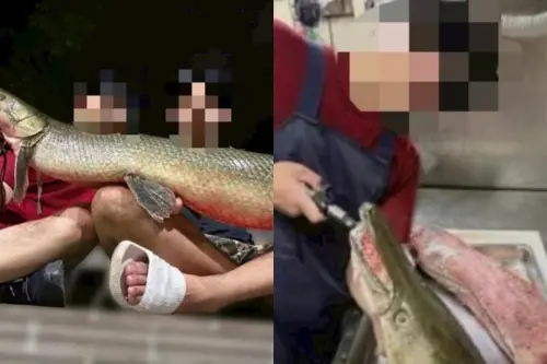殺228公園「鱷魚火箭」是累犯！他被爆4月才釣台南公園：我都吃了
