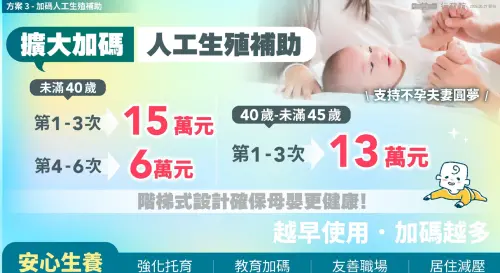 ▲「台灣人口對策新戰略—家庭支持篇」。（圖／總統府提供）