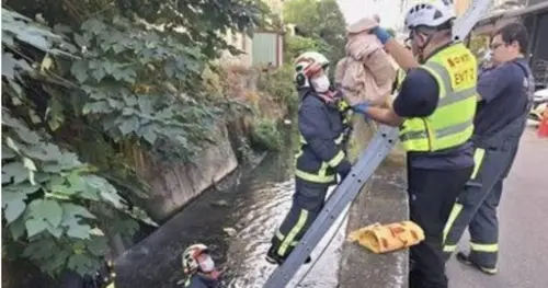 矽品菲籍女移工宿舍產嬰　棄屍水溝遭判刑6月