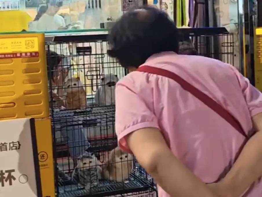 寵物店狂傳貓叫聲！她近看籠子愣爆：沒有任何真貓　眾一面倒狂讚