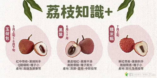 ▲台灣荔枝主要分三大品種（圖／取自鮮享農YA - 農糧署臉書）