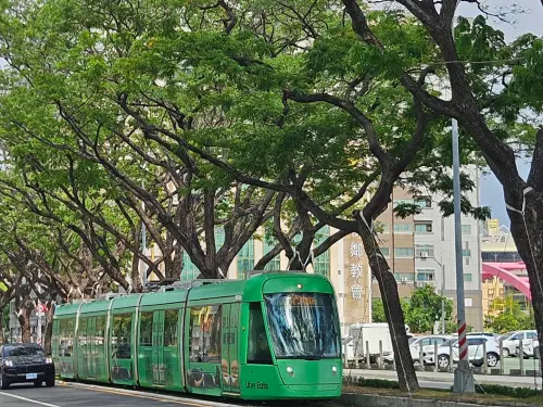 高雄輕軌路樹AI監測　傾斜逾2.5度即時通報巡檢