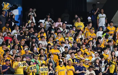 兄弟走出連敗低潮！外野象迷不離不棄　平野惠一：為了大家拚下去
