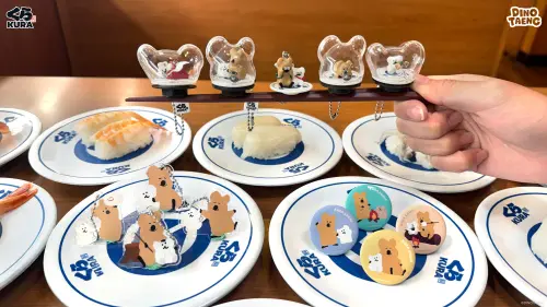 ▲藏壽司最新聯名DINOTAENG呆萌町，矮袋鼠QUOKKA與BOBO小熊13款扭蛋，真的超級可愛啦！（圖／藏壽司提供）