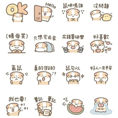 ▲LINE免費貼圖「LINE TV｜天竺鼠布丁」。（圖／取自LINE）