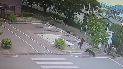 黑熊現身福島市中心！撲倒工人後躲工廠　釀傷恐怖瞬間曝