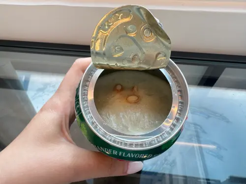 ▲「香菜檸檬蘇打飲」主打清新爽口，含有大量氣泡超消暑，除了全台詹記買得到外，7-11也開始販售。（圖／記者鍾怡婷攝）