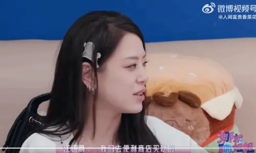 ▲江語晨（如圖）說她跟潘瑋柏只是半夜去超商吃宵夜而已。（圖／微博＠人間富貴香菜花）