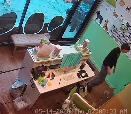 ▲寵物日托中心的工作人員看到皮特獨自出現在門口時相當驚訝，隨即聯繫飼主確認狀況。（圖／翻攝自IG@poochplayandstay）