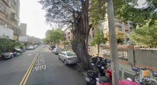 ▲老樹一直以頭重腳輕的樣子立在通學道路旁，有如不定時炸彈。（圖／翻攝google街景圖，2026.06.08）