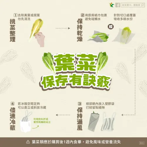 ▲農糧署提醒，葉菜冷藏前先整理、吸乾水分並保持通風，可有效延長保鮮時間。（圖／取自農糧署）