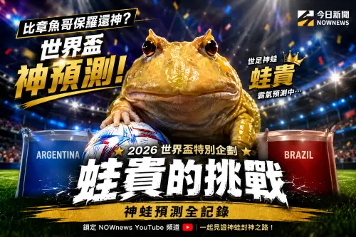 比章魚哥保羅還神？世界盃神預測！　NOWnews推出《蛙貴的挑戰》