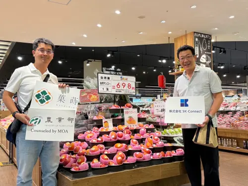 台灣芒果國際爆紅！屏東愛文打進日本AEON、首度外銷法國