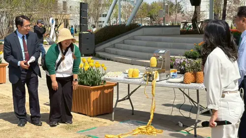 ▲市長黃偉哲與平澤市長向民眾展示鳳梨機器削皮秀。（圖／南市府提供）